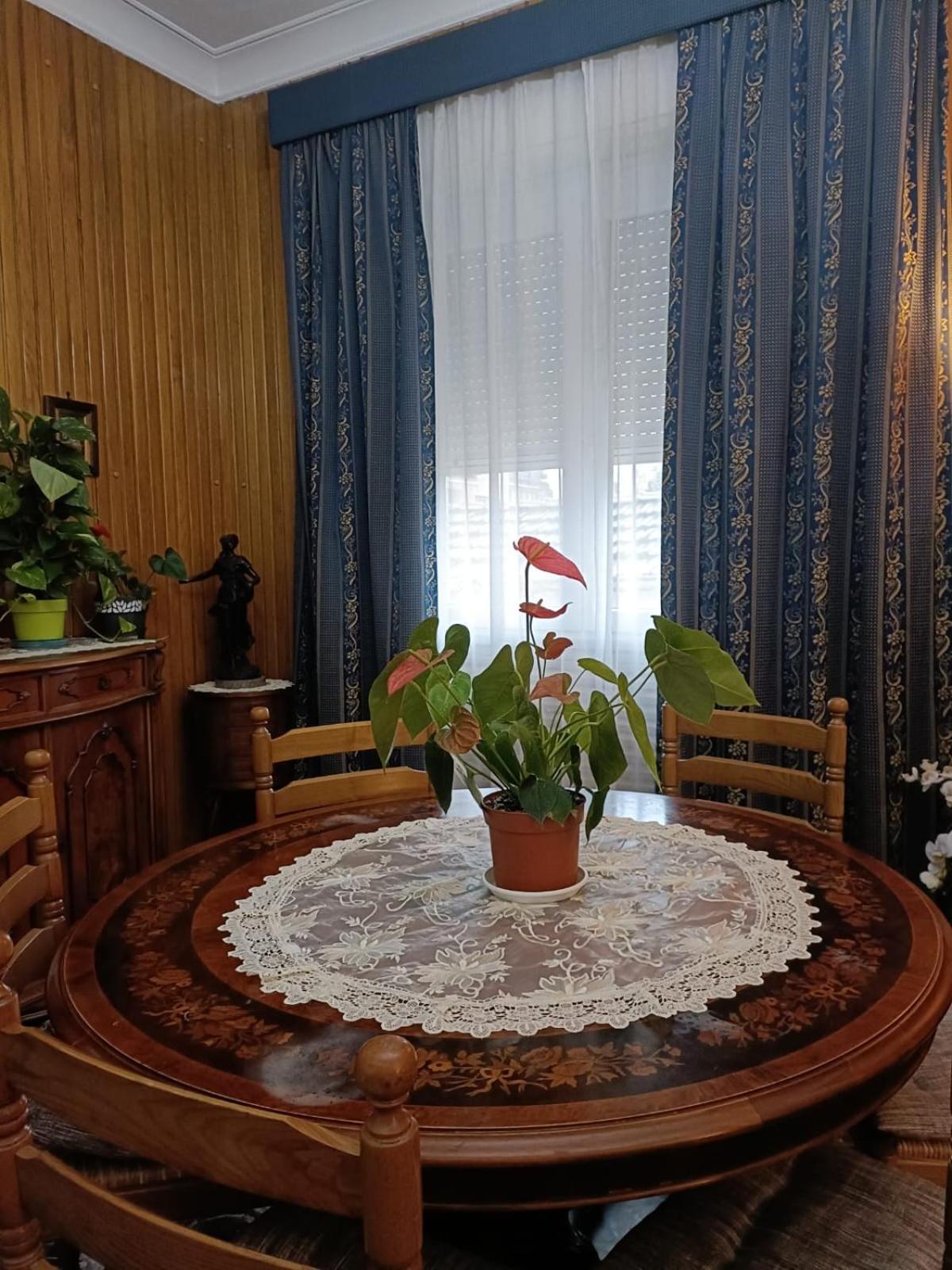 Hotel Domus Cesena Zewnętrze zdjęcie